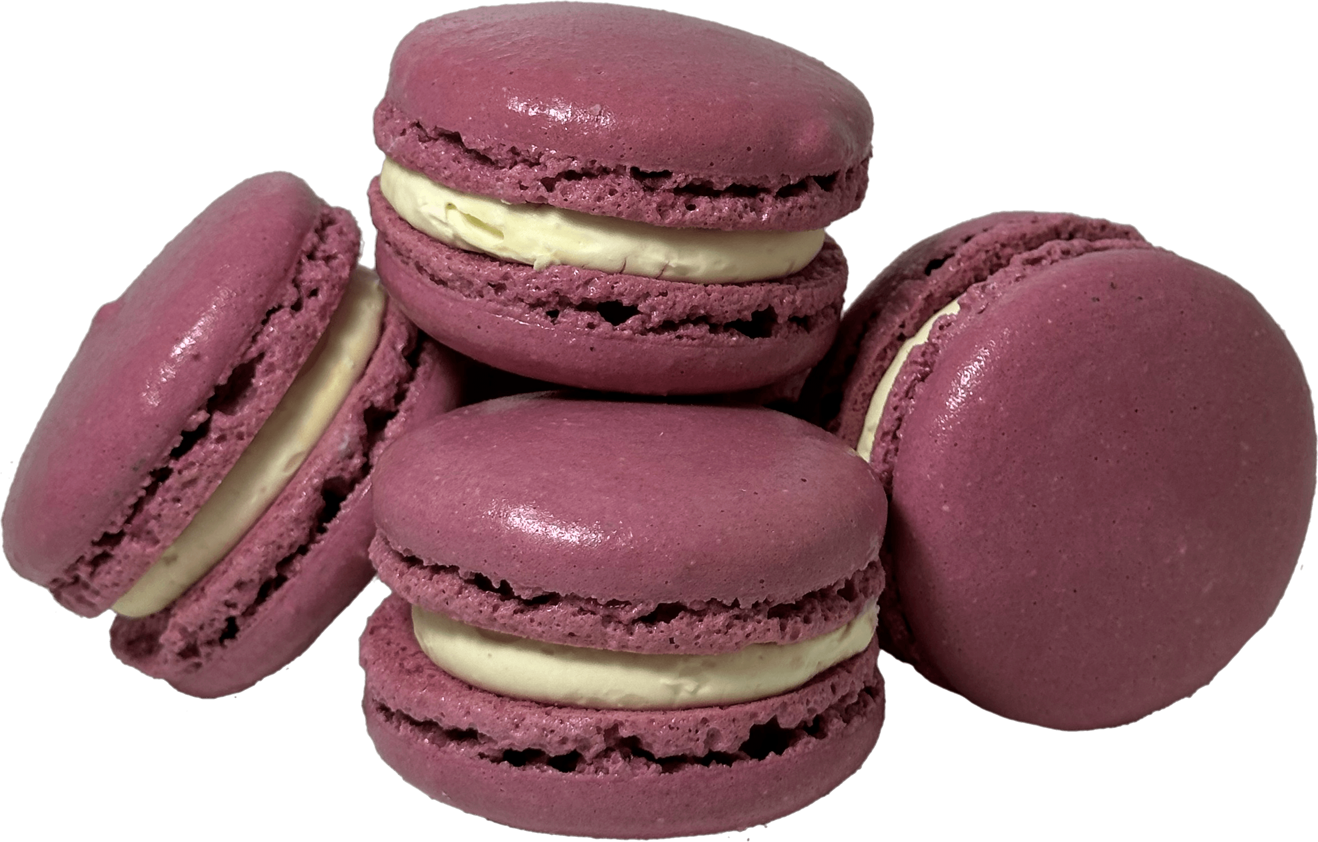 Blueberry Cheesecake